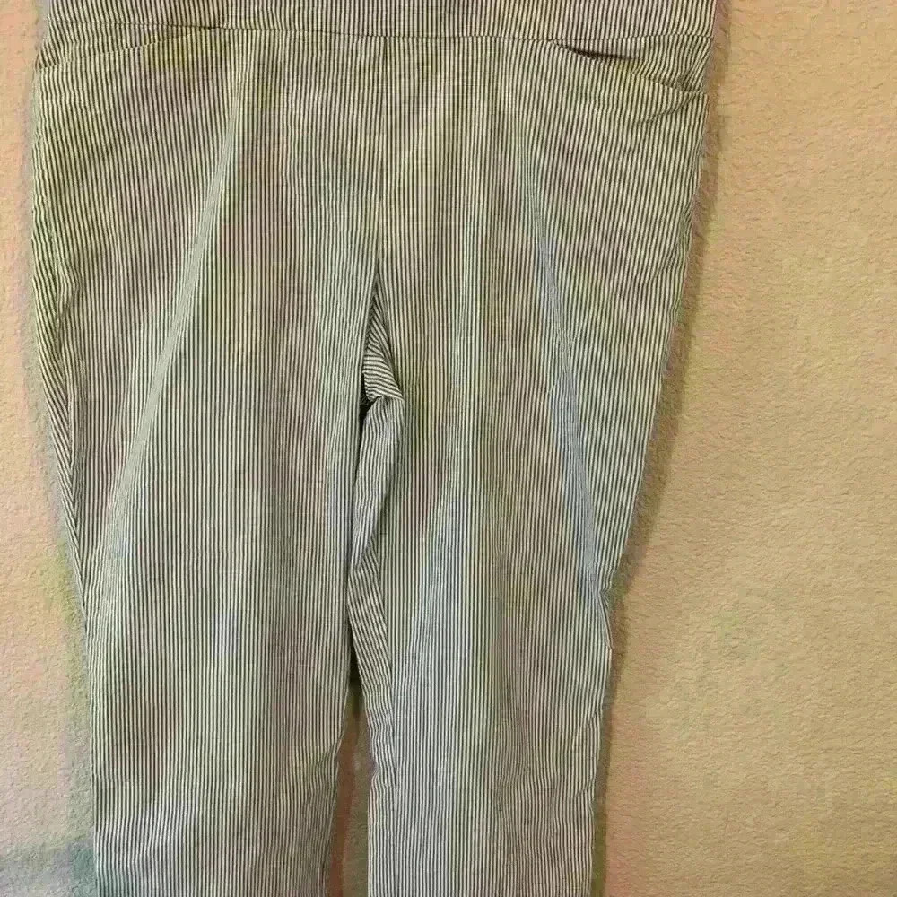 Hilary Radley, Blue and white pin strip high rise pant, size XXL office business